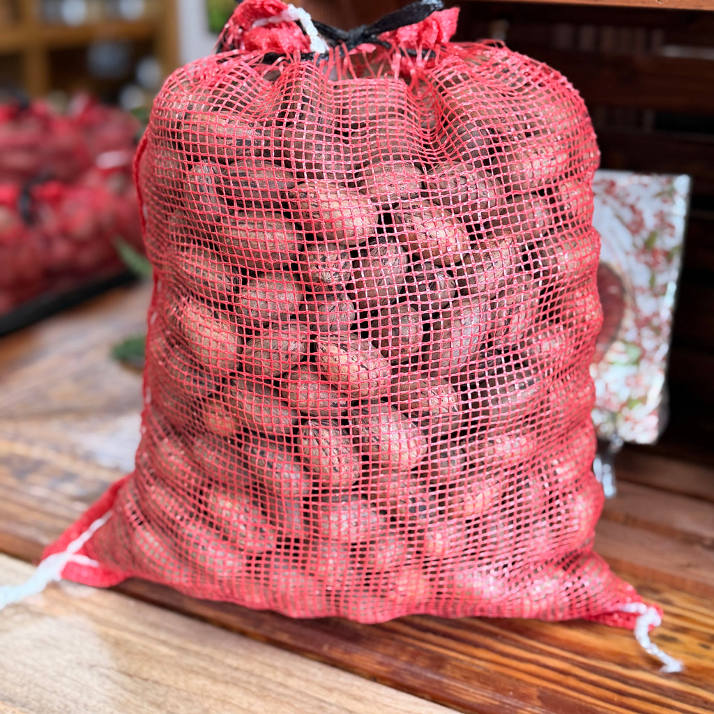 10 Pounds In-Shell Desirable Pecans