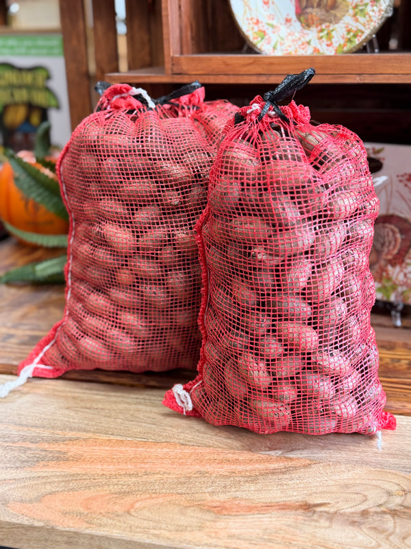 10 Pounds In-Shell Desirable Pecans