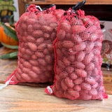 10 Pounds In-Shell Desirable Pecans